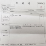 실제청구 시 진단서